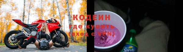 хмурый Ладушкин