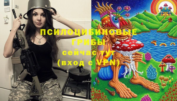 меф Долгопрудный