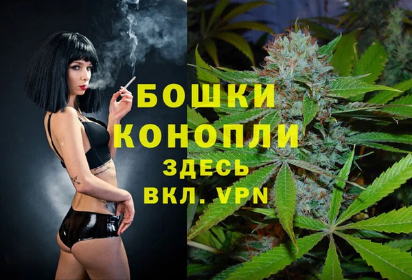 spice Куйбышев