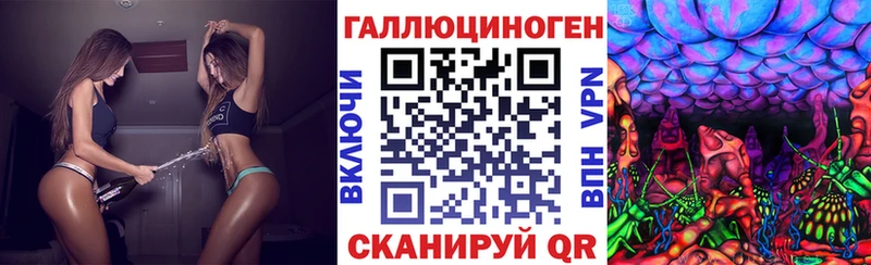 закладка  Суворов  Псилоцибиновые грибы прущие грибы 